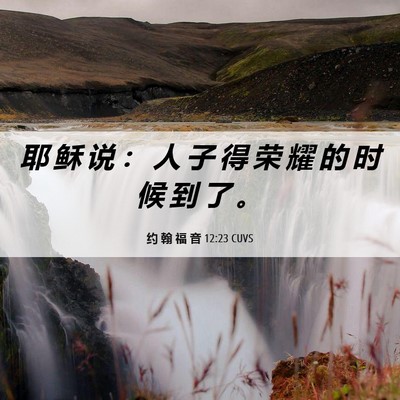 Picture 06 - 约 翰 福 音 12:23 CUVS - 耶 稣 说 ： 人 子 得 荣 耀 的 时 候 - Bible Verse Picture