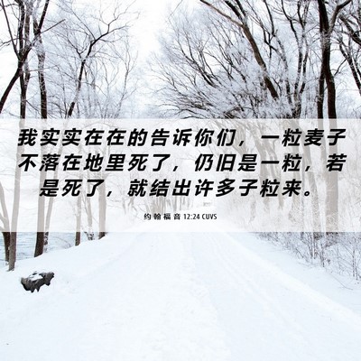 Picture 06 - 约 翰 福 音 12:24 CUVS - 我 实 实 在 在 的 告 诉 你 们 ， 一 - Bible Verse Picture