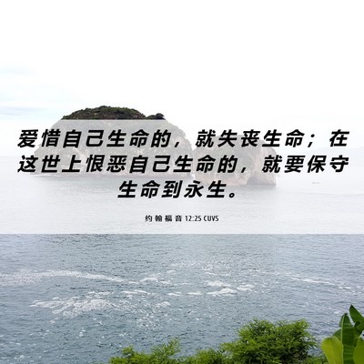 Picture 06 - 约 翰 福 音 12:25 CUVS - 爱 惜 自 己 生 命 的 ， 就 失 丧 生 - Bible Verse Picture