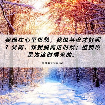 Picture 06 - 约 翰 福 音 12:27 CUVS - 我 现 在 心 里 忧 愁 ， 我 说 甚 麽 - Bible Verse Picture