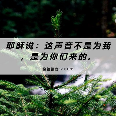 Picture 06 - 约 翰 福 音 12:30 CUVS - 耶 稣 说 ： 这 声 音 不 是 为 我 ， - Bible Verse Picture