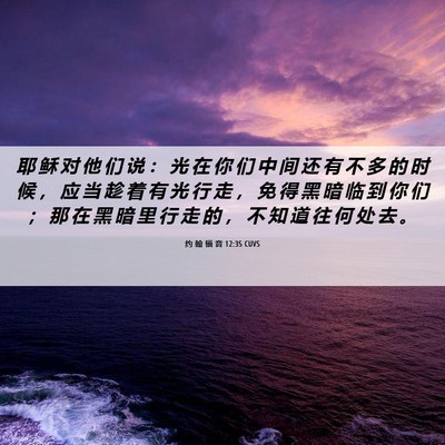 Picture 06 - 约 翰 福 音 12:35 CUVS - 耶 稣 对 他 们 说 ： 光 在 你 们 中 - Bible Verse Picture