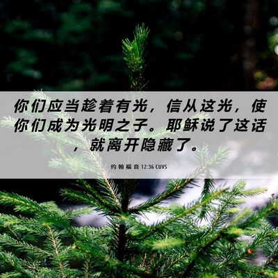 Picture 06 - 约 翰 福 音 12:36 CUVS - 你 们 应 当 趁 着 有 光 ， 信 从 这 - Bible Verse Picture