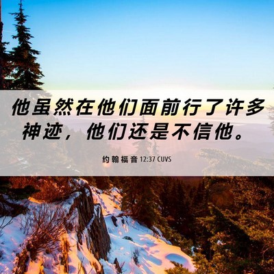 Picture 06 - 约 翰 福 音 12:37 CUVS - 他 虽 然 在 他 们 面 前 行 了 许 多 - Bible Verse Picture