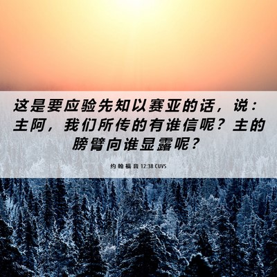 Picture 06 - 约 翰 福 音 12:38 CUVS - 这 是 要 应 验 先 知 以 赛 亚 的 话 - Bible Verse Picture