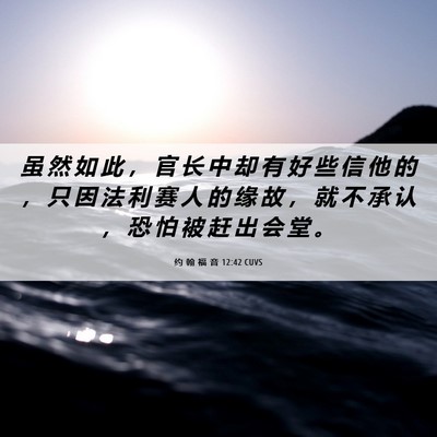 Picture 06 - 约 翰 福 音 12:42 CUVS - 虽 然 如 此 ， 官 长 中 却 有 好 些 - Bible Verse Picture
