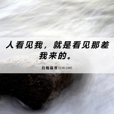 Picture 06 - 约 翰 福 音 12:45 CUVS - 人 看 见 我 ， 就 是 看 见 那 差 我 - Bible Verse Picture