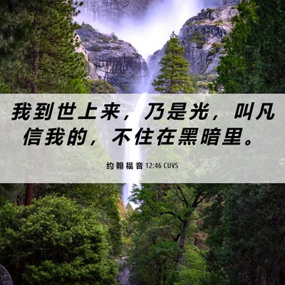 Picture 06 - 约 翰 福 音 12:46 CUVS - 我 到 世 上 来 ， 乃 是 光 ， 叫 凡 - Bible Verse Picture