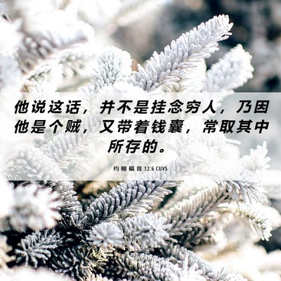 Picture 06 - 约 翰 福 音 12:6 CUVS - 他 说 这 话 ， 并 不 是 挂 念 穷 人 - Bible Verse Picture