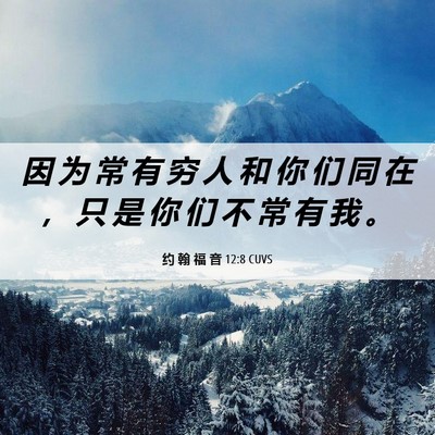 Picture 06 - 约 翰 福 音 12:8 CUVS - 因 为 常 有 穷 人 和 你 们 同 在 ， - Bible Verse Picture