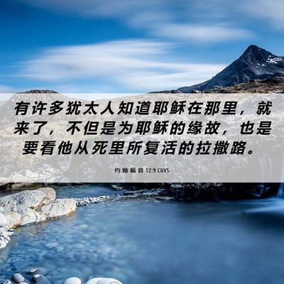 Picture 06 - 约 翰 福 音 12:9 CUVS - 有 许 多 犹 太 人 知 道 耶 稣 在 那 - Bible Verse Picture