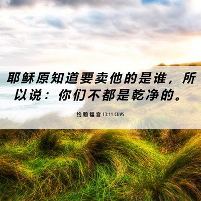 Picture 06 - 约 翰 福 音 13:11 CUVS - 耶 稣 原 知 道 要 卖 他 的 是 谁 ， - Bible Verse Picture