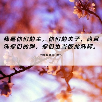 Picture 06 - 约 翰 福 音 13:14 CUVS - 我 是 你 们 的 主 ， 你 们 的 夫 子 - Bible Verse Picture