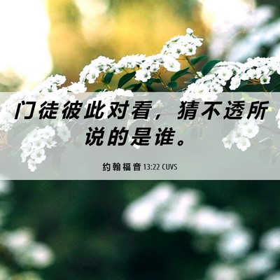 Picture 06 - 约 翰 福 音 13:22 CUVS - 门 徒 彼 此 对 看 ， 猜 不 透 所 说 - Bible Verse Picture