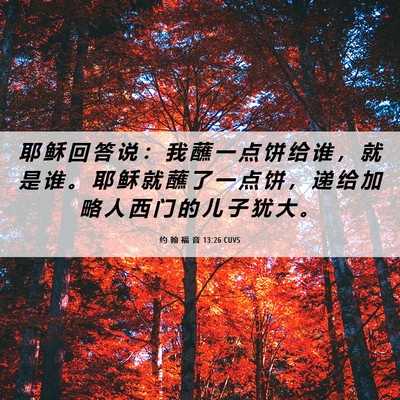 Picture 06 - 约 翰 福 音 13:26 CUVS - 耶 稣 回 答 说 ： 我 蘸 一 点 饼 给 - Bible Verse Picture