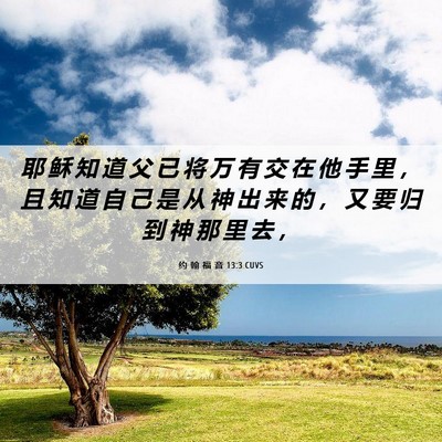 Picture 06 - 约 翰 福 音 13:3 CUVS - 耶 稣 知 道 父 已 将 万 有 交 在 他 - Bible Verse Picture