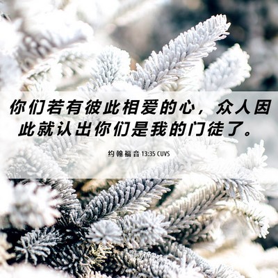 Picture 06 - 约 翰 福 音 13:35 CUVS - 你 们 若 有 彼 此 相 爱 的 心 ， 众 - Bible Verse Picture