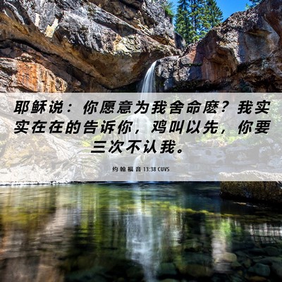 Picture 06 - 约 翰 福 音 13:38 CUVS - 耶 稣 说 ： 你 愿 意 为 我 舍 命 麽 - Bible Verse Picture