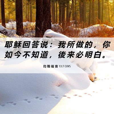 Picture 06 - 约 翰 福 音 13:7 CUVS - 耶 稣 回 答 说 ： 我 所 做 的 ， 你 - Bible Verse Picture