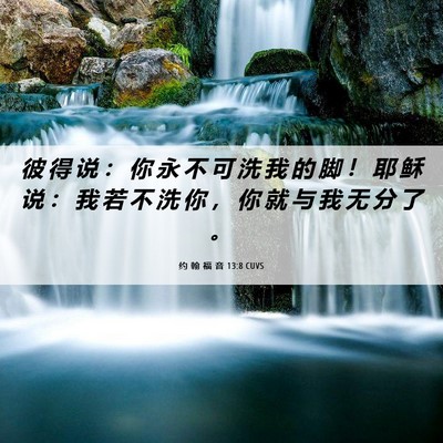 Picture 06 - 约 翰 福 音 13:8 CUVS - 彼 得 说 ： 你 永 不 可 洗 我 的 脚 - Bible Verse Picture
