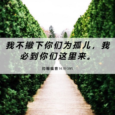 Picture 06 - 约 翰 福 音 14:18 CUVS - 我 不 撇 下 你 们 为 孤 儿 ， 我 必 - Bible Verse Picture