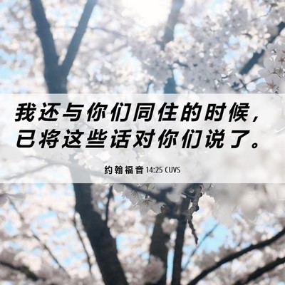 Picture 06 - 约 翰 福 音 14:25 CUVS - 我 还 与 你 们 同 住 的 时 候 ， 已 - Bible Verse Picture
