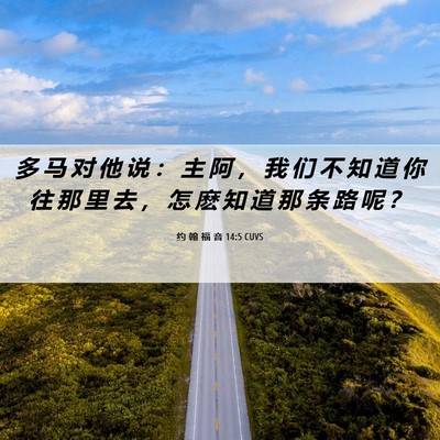 Picture 06 - 约 翰 福 音 14:5 CUVS - 多 马 对 他 说 ： 主 阿 ， 我 们 不 - Bible Verse Picture