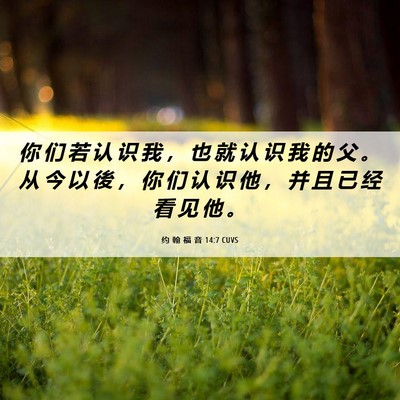 Picture 06 - 约 翰 福 音 14:7 CUVS - 你 们 若 认 识 我 ， 也 就 认 识 我 - Bible Verse Picture
