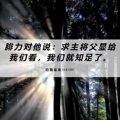 Picture 06 - 约 翰 福 音 14:8 CUVS - 腓 力 对 他 说 ： 求 主 将 父 显 给 - Bible Verse Picture
