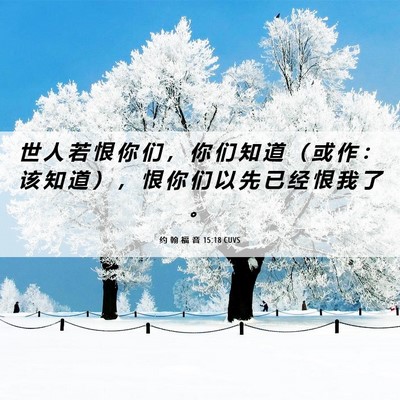 Picture 06 - 约 翰 福 音 15:18 CUVS - 世 人 若 恨 你 们 ， 你 们 知 道 （ - Bible Verse Picture