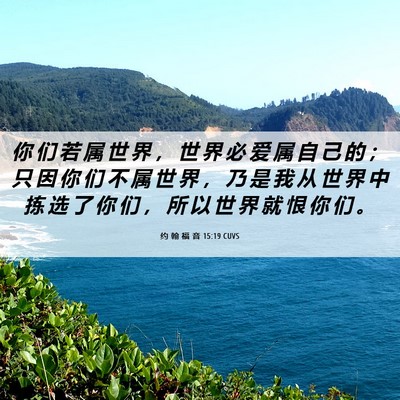 Picture 06 - 约 翰 福 音 15:19 CUVS - 你 们 若 属 世 界 ， 世 界 必 爱 属 - Bible Verse Picture