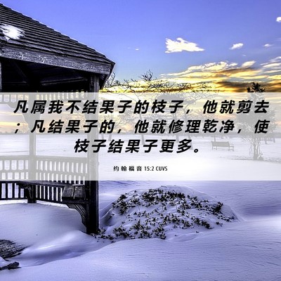 Picture 06 - 约 翰 福 音 15:2 CUVS - 凡 属 我 不 结 果 子 的 枝 子 ， 他 - Bible Verse Picture
