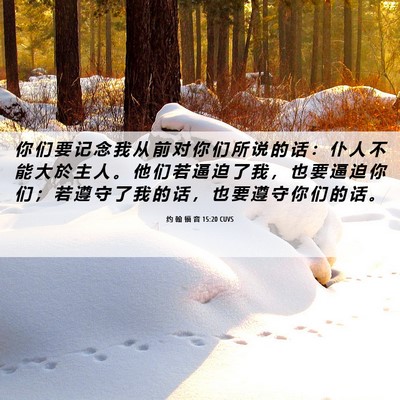 Picture 06 - 约 翰 福 音 15:20 CUVS - 你 们 要 记 念 我 从 前 对 你 们 所 - Bible Verse Picture