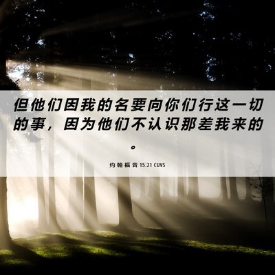 Picture 06 - 约 翰 福 音 15:21 CUVS - 但 他 们 因 我 的 名 要 向 你 们 行 - Bible Verse Picture