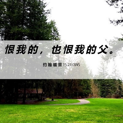 Picture 06 - 约 翰 福 音 15:23 CUVS - 恨 我 的 ， 也 恨 我 的 父 - Bible Verse Picture