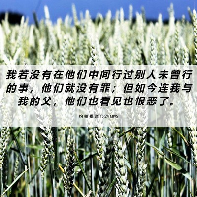 Picture 06 - 约 翰 福 音 15:24 CUVS - 我 若 没 有 在 他 们 中 间 行 过 别 - Bible Verse Picture