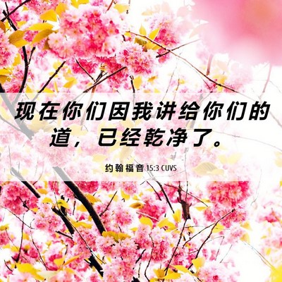Picture 06 - 约 翰 福 音 15:3 CUVS - 现 在 你 们 因 我 讲 给 你 们 的 道 - Bible Verse Picture