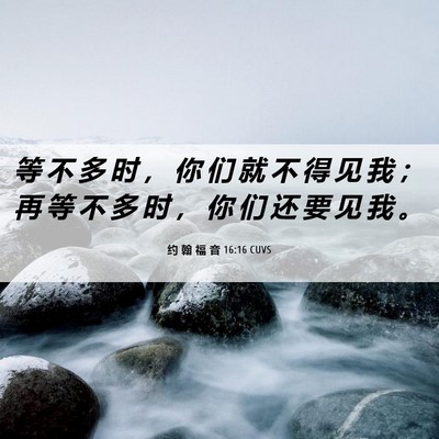 Picture 06 - 约 翰 福 音 16:16 CUVS - 等 不 多 时 ， 你 们 就 不 得 见 我 - Bible Verse Picture