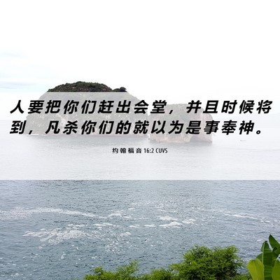 Picture 06 - 约 翰 福 音 16:2 CUVS - 人 要 把 你 们 赶 出 会 堂 ， 并 且 - Bible Verse Picture