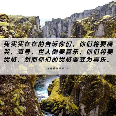 Picture 06 - 约 翰 福 音 16:20 CUVS - 我 实 实 在 在 的 告 诉 你 们 ， 你 - Bible Verse Picture