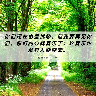 Picture 06 - 约 翰 福 音 16:22 CUVS - 你 们 现 在 也 是 忧 愁 ， 但 我 要 - Bible Verse Picture