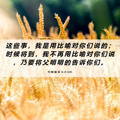 Picture 06 - 约 翰 福 音 16:25 CUVS - 这 些 事 ， 我 是 用 比 喻 对 你 们 - Bible Verse Picture