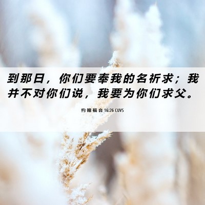 Picture 06 - 约 翰 福 音 16:26 CUVS - 到 那 日 ， 你 们 要 奉 我 的 名 祈 - Bible Verse Picture