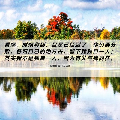 Picture 06 - 约 翰 福 音 16:32 CUVS - 看 哪 ， 时 候 将 到 ， 且 是 已 经 - Bible Verse Picture