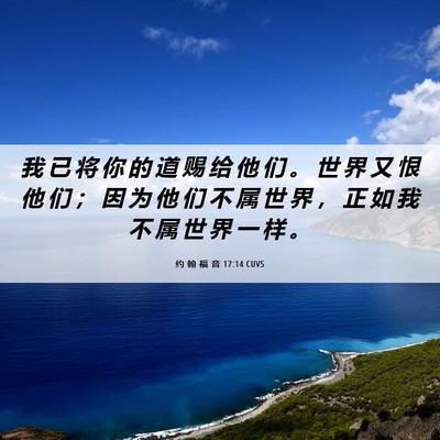 Picture 06 - 约 翰 福 音 17:14 CUVS - 我 已 将 你 的 道 赐 给 他 们 。 世 - Bible Verse Picture