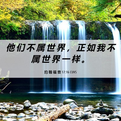 Picture 06 - 约 翰 福 音 17:16 CUVS - 他 们 不 属 世 界 ， 正 如 我 不 属 - Bible Verse Picture