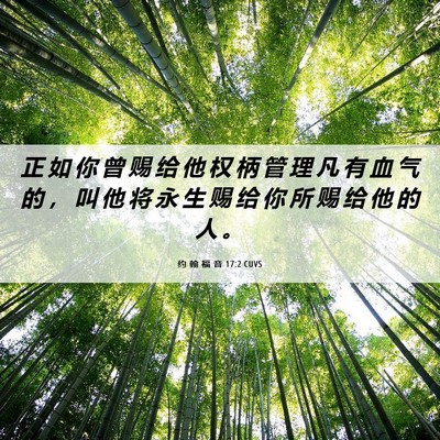 Picture 06 - 约 翰 福 音 17:2 CUVS - 正 如 你 曾 赐 给 他 权 柄 管 理 凡 - Bible Verse Picture
