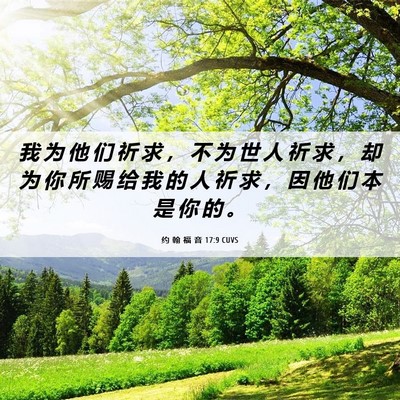 Picture 06 - 约 翰 福 音 17:9 CUVS - 我 为 他 们 祈 求 ， 不 为 世 人 祈 - Bible Verse Picture