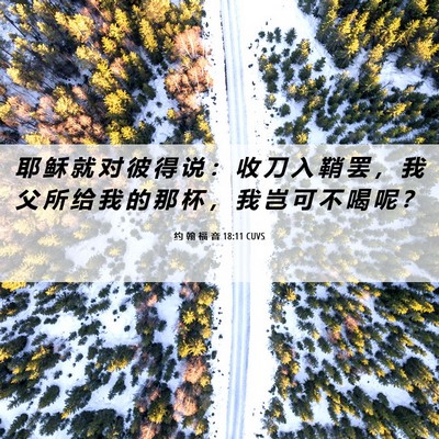 Picture 06 - 约 翰 福 音 18:11 CUVS - 耶 稣 就 对 彼 得 说 ： 收 刀 入 鞘 - Bible Verse Picture
