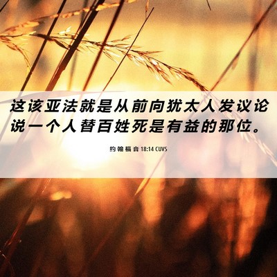 Picture 06 - 约 翰 福 音 18:14 CUVS - 这 该 亚 法 就 是 从 前 向 犹 太 人 - Bible Verse Picture
